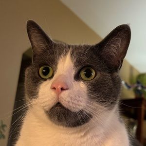 Meet your Posher, Vanessa